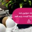 هر خانم چند سوتین باید داشته باشد؟ لیست پایه کمد لباس زیر